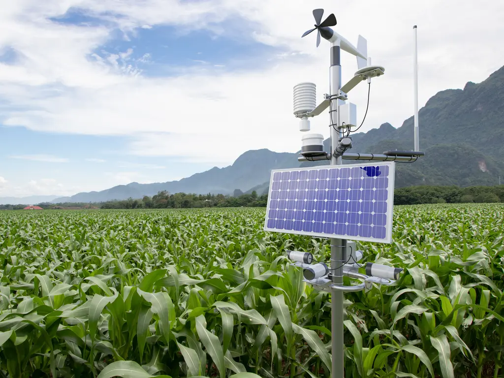 Estação meteorológica agrícola instalada em meio a uma plantação de milho, equipada com anemômetro (cata-vento), painel solar, sensores meteorológicos e antena, com montanhas ao fundo sob céu parcialmente nublado.