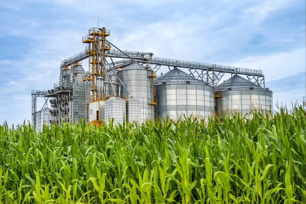 Silo de milho