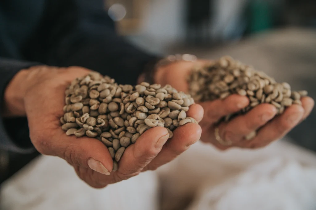 Grãos de café em fazenda no interior de Minas 