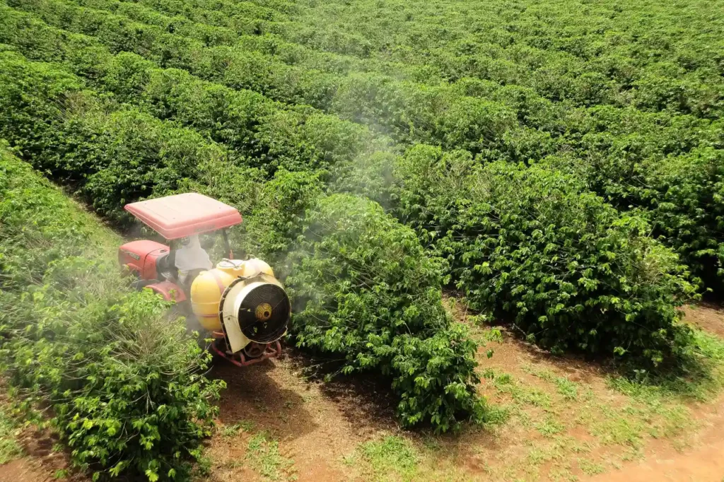 Aplicação via drench de fungicida em lavoura de café no interior de Minas 