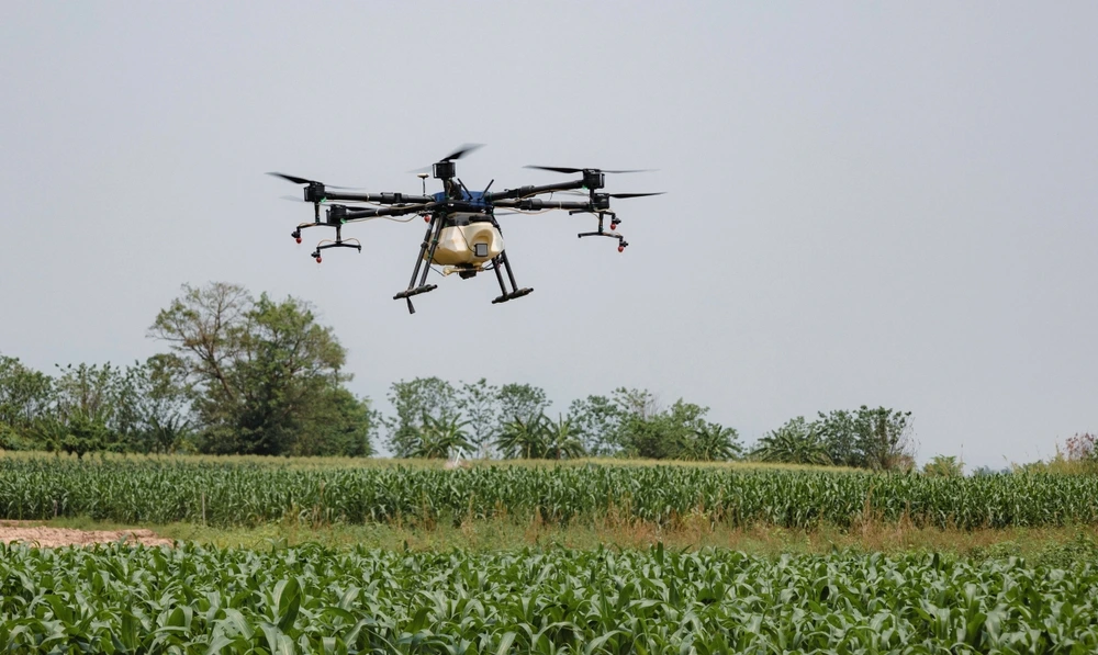 Mitos e verdades sobre os produtos biológicos na agricultura