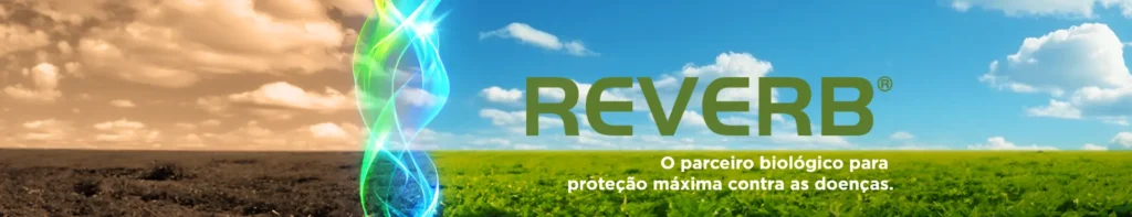 Lavoura de soja, com o fungicida biológico REVERB® em destaque no céu.