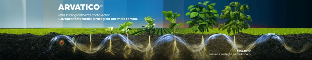 Planta de soja em diferentes fases de desenvolvimento no solo, destacando o nematicida e fungicida biológico ARVATICO®.