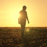 Tudo sobre mercado agrícola: panorama, desafios e oportunidades