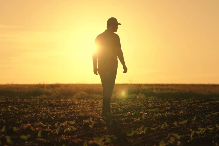 Tudo sobre mercado agrícola: panorama, desafios e oportunidades