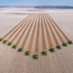 Commodities agrícolas brasileiras: motores da economia nacional