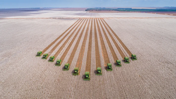 Commodities agrícolas brasileiras: motores da economia nacional