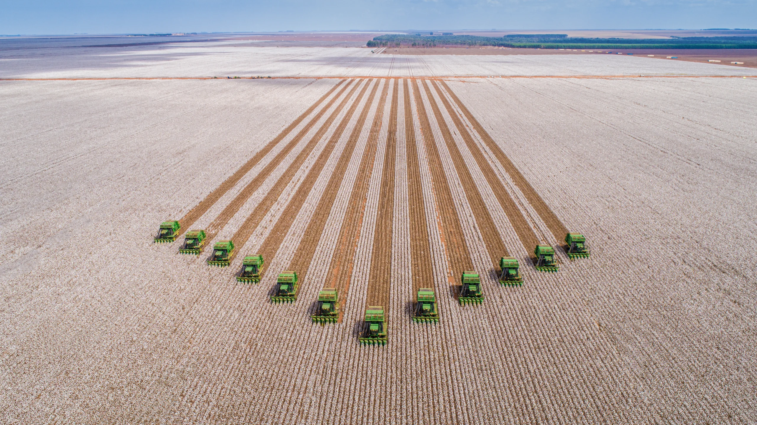 Commodities agrícolas brasileiras: motores da economia nacional