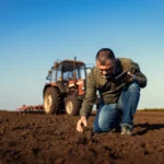 Latossolo: características, ocorrência e manejo para uso agrícola