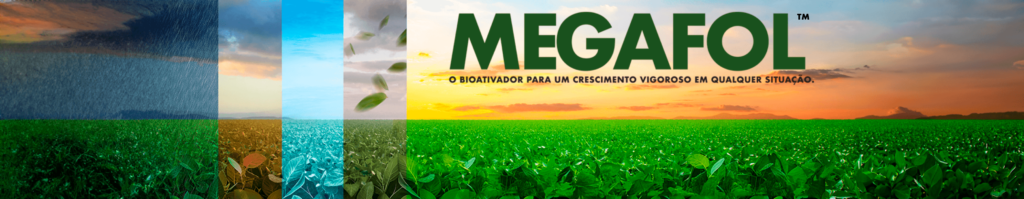 Lavoura de soja em diferentes condições climáticas, com o bioativador MEGAFOL em destaque no céu.