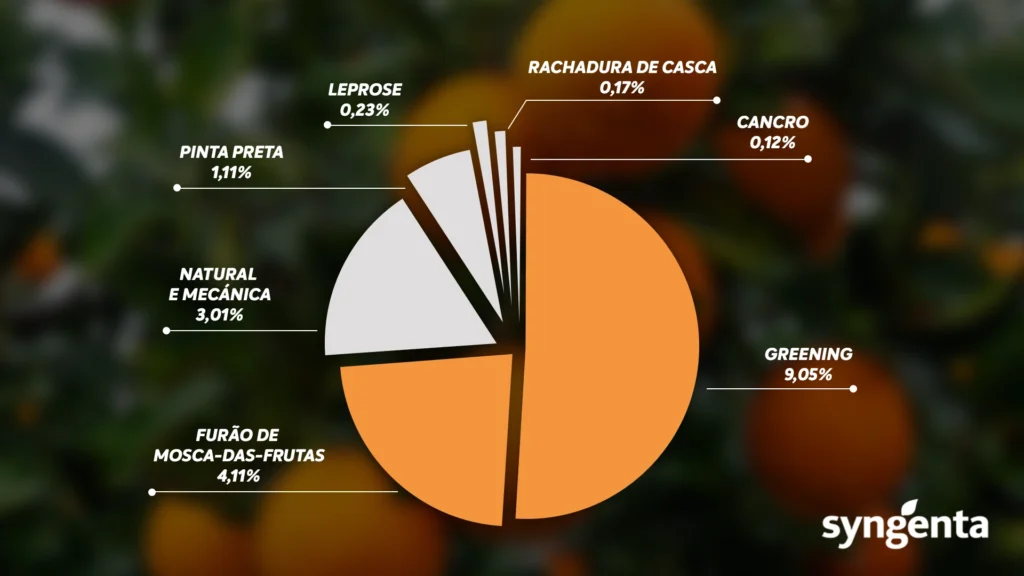 Gráfico mostrando as principais causas da taxa média de queda de frutos na safra 2024/25 no cintrurão citrícola.
