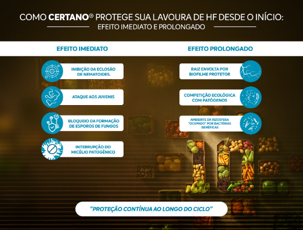 Infográfico com os benefícios de CERTANO® na lavoura de hortifrúti