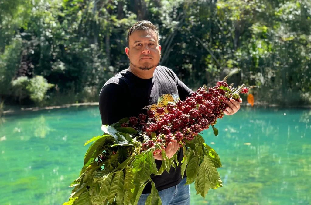 Produtor de Rondônia exibe cafés colhidos na safra 2025 