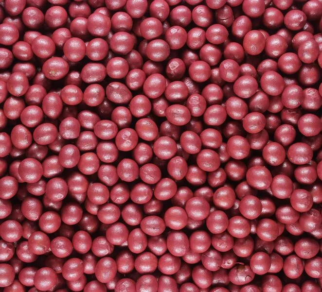Sementes de soja tratadas pela Syngenta, em cor vermelha.