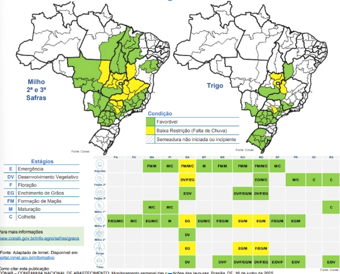 Mapa do Brasil e tabela mostrando a relação entre a condição hídrica e o estágio fenológico das lavouras.