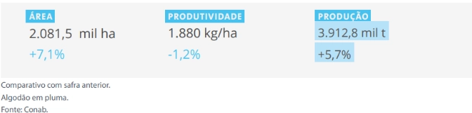 Relação da área produtiva, produtividade e produção de algodão na safra 2024/25.