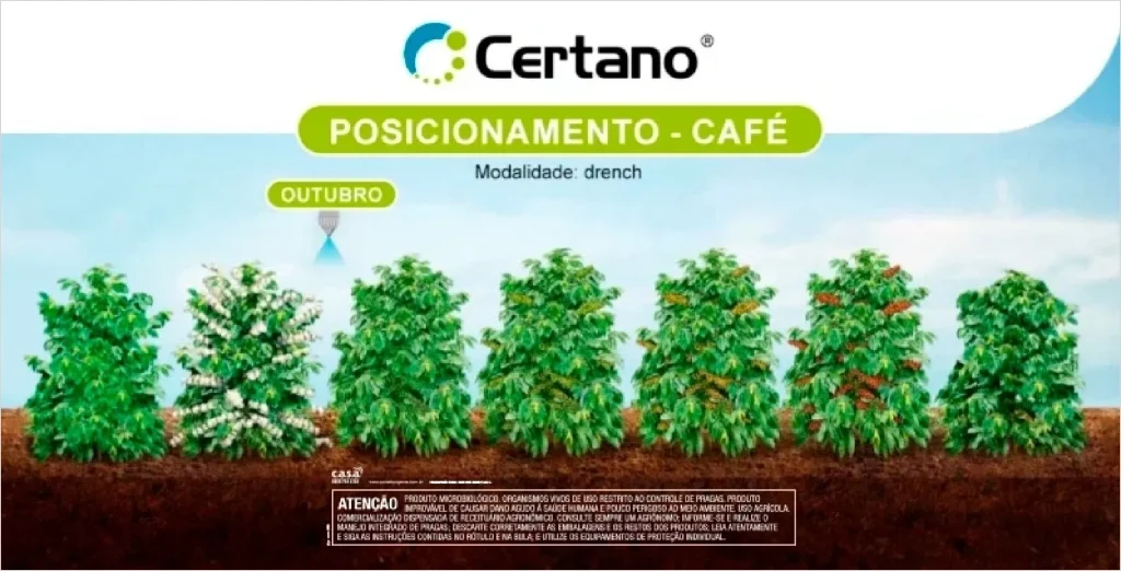 Posicionamento de CERTANO no café.