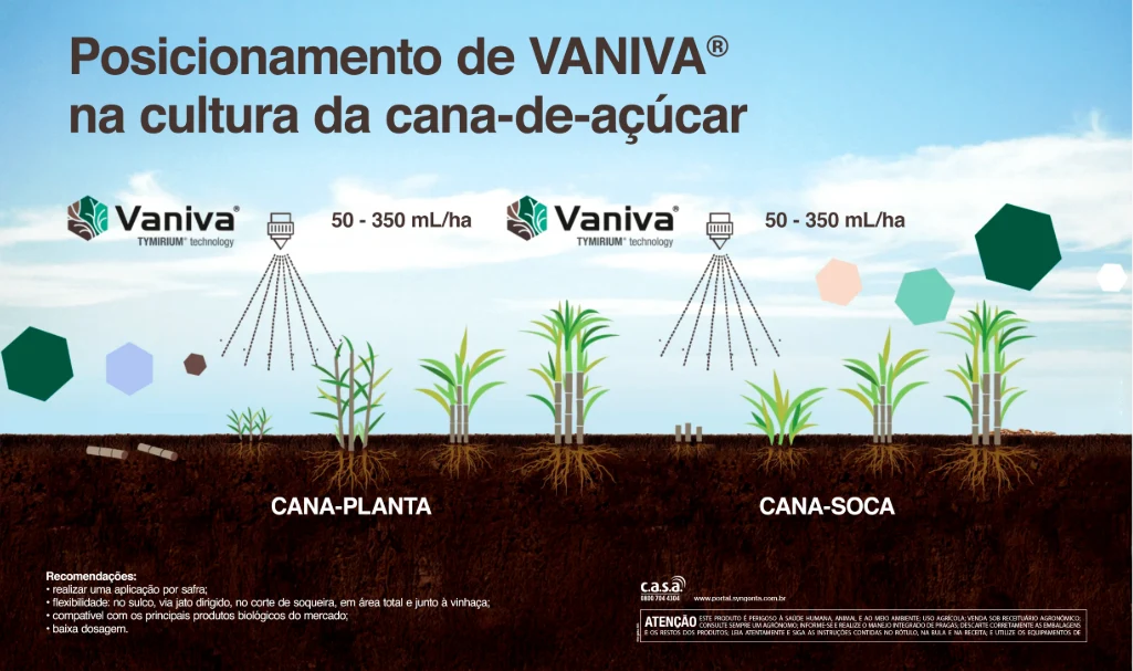 Infográfico de posicionamento do VANIVA® na cana-de-açúcar. Recomenda-se uma aplicação de 50-350 mL/ha por safra, tanto em cana-planta quanto em cana-soca.
