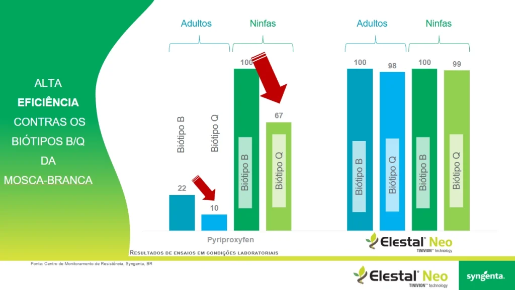 Gráfico de barras mostrando resultados de ELESTAL Neo no controle dos biótipos da mosca-branca. Enquanto o Pyriproxyfen apresenta baixa eficiência em adultos e ninfas do biótipo Q, Elestal Neo mantém níveis de controle próximos a 100% tanto para adultos quanto para ninfas dos biótipos B e Q.