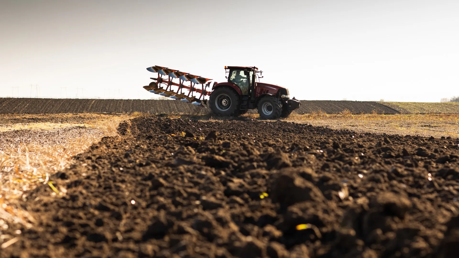 Ceifeira-debulha com trigo em reboques.