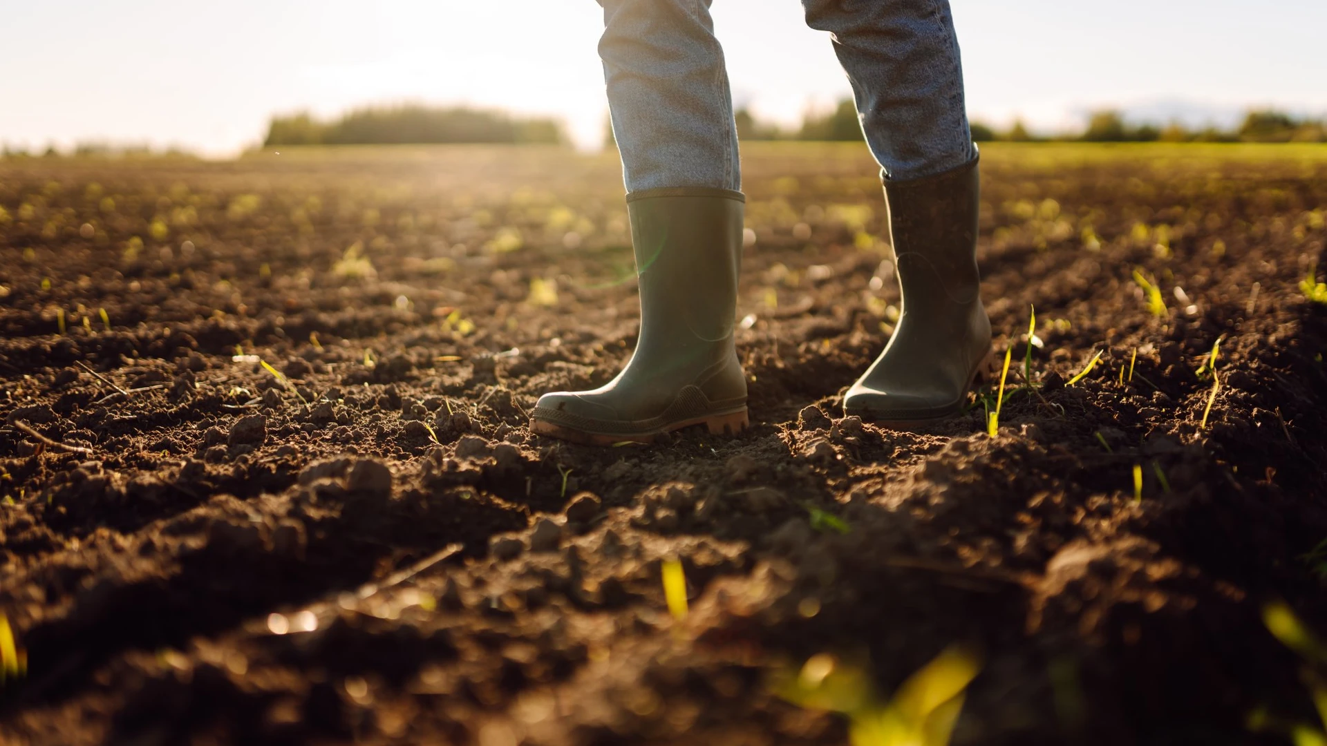 Pés de um jovem agricultor em botas de trabalho em um campo agrícola arado.