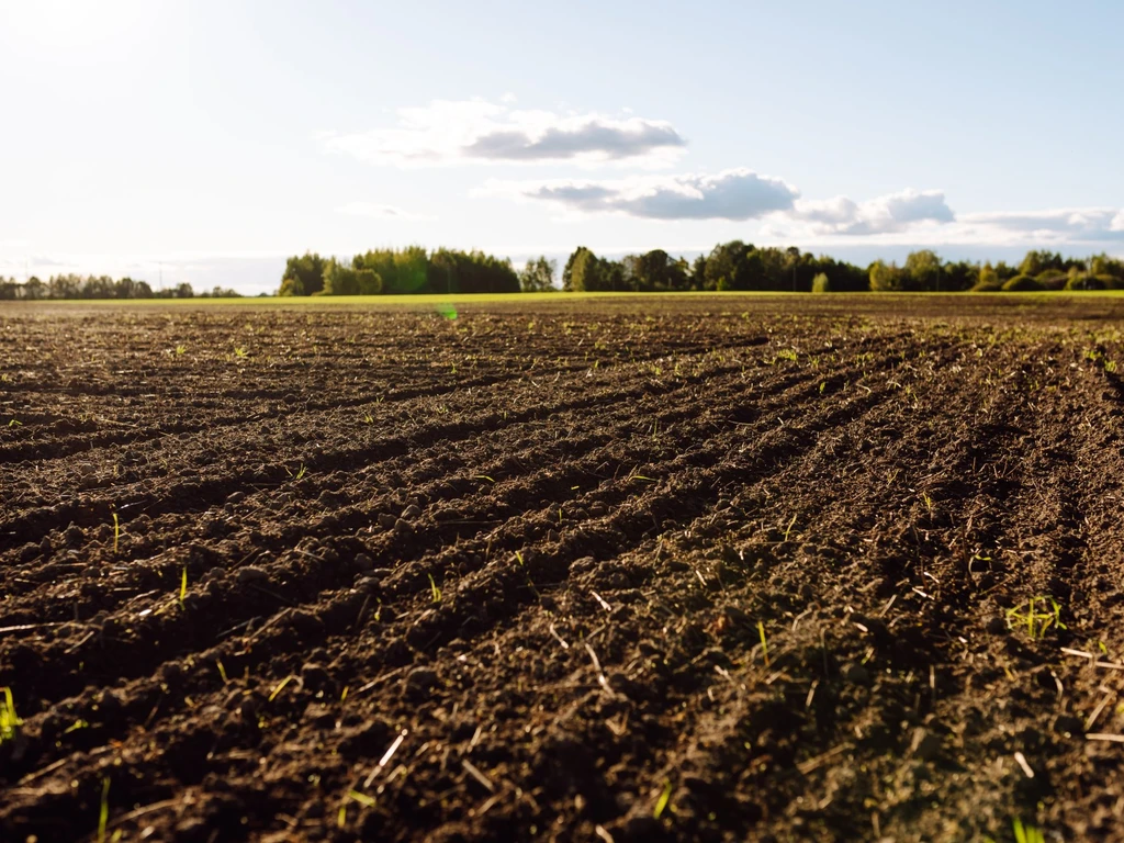 Solo agrícola em um dia ensolarado