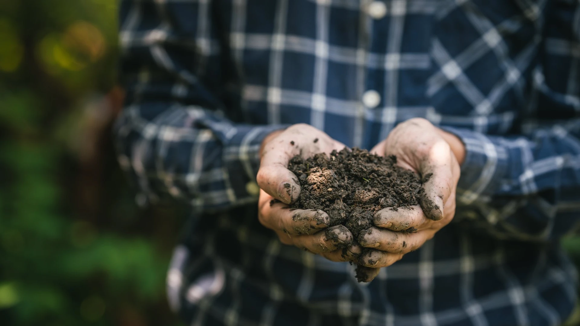 Close das mãos de uma pessoa segurando um punhado de terra