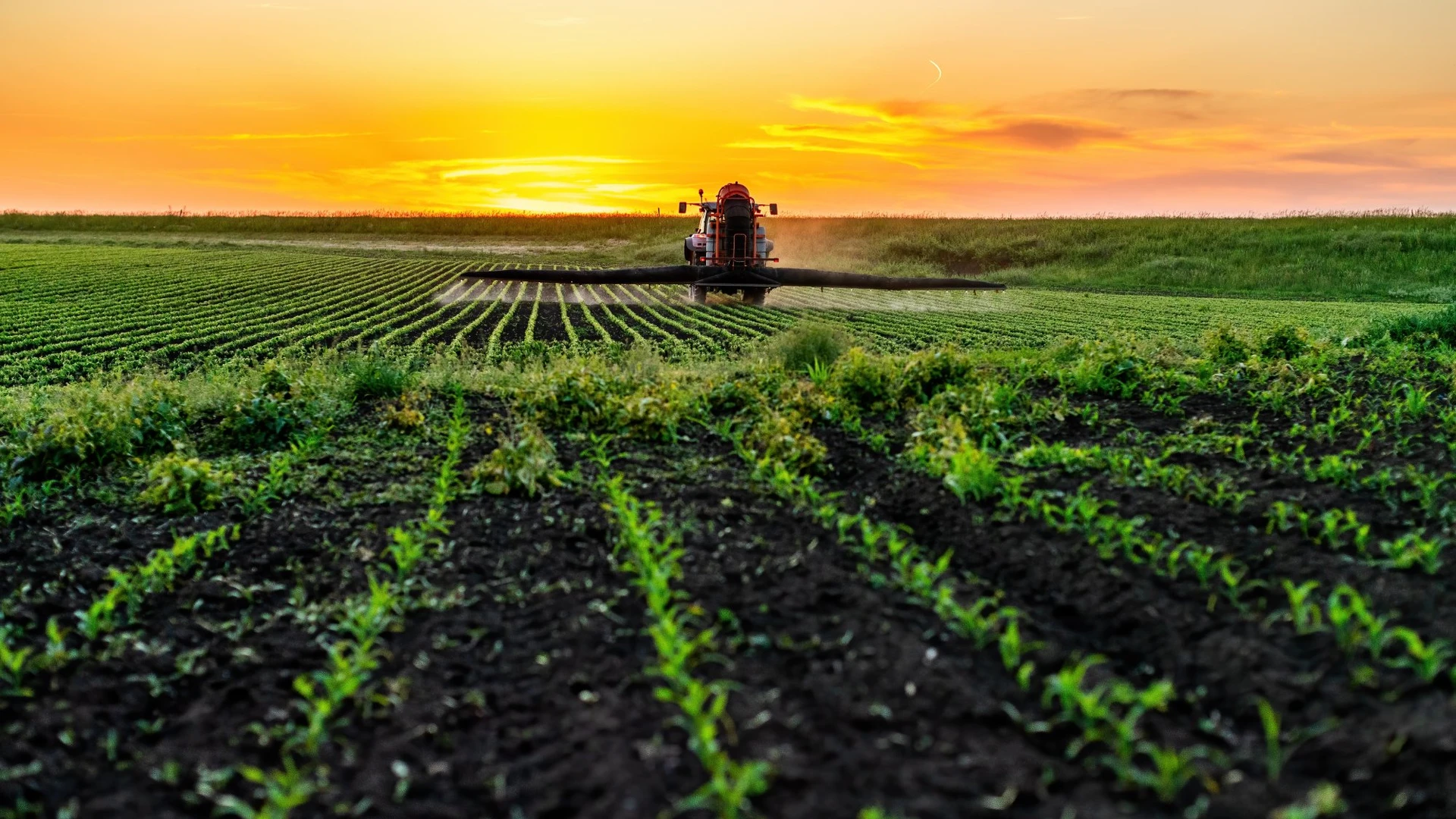 Área de plantio com um por do sol ao fundo