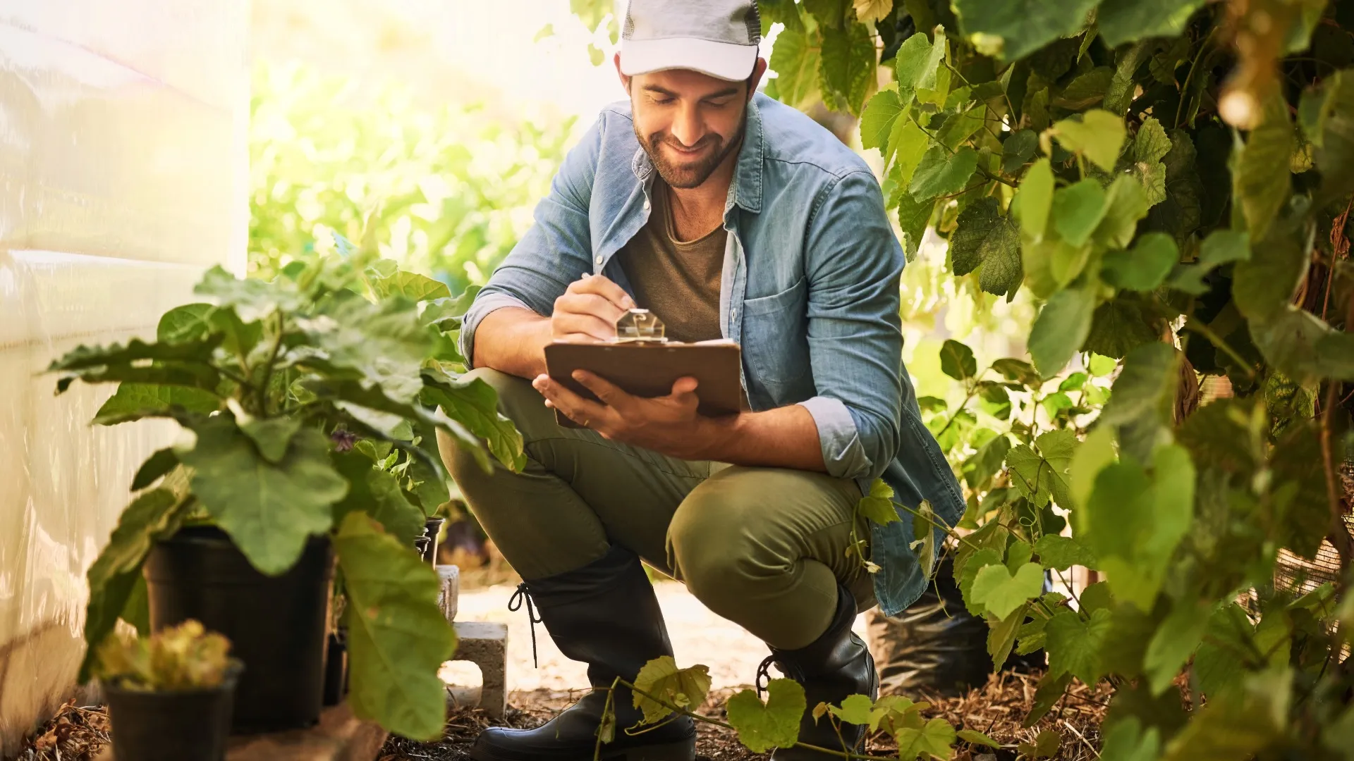 Homem, agricultura e planta na fazenda com prancheta