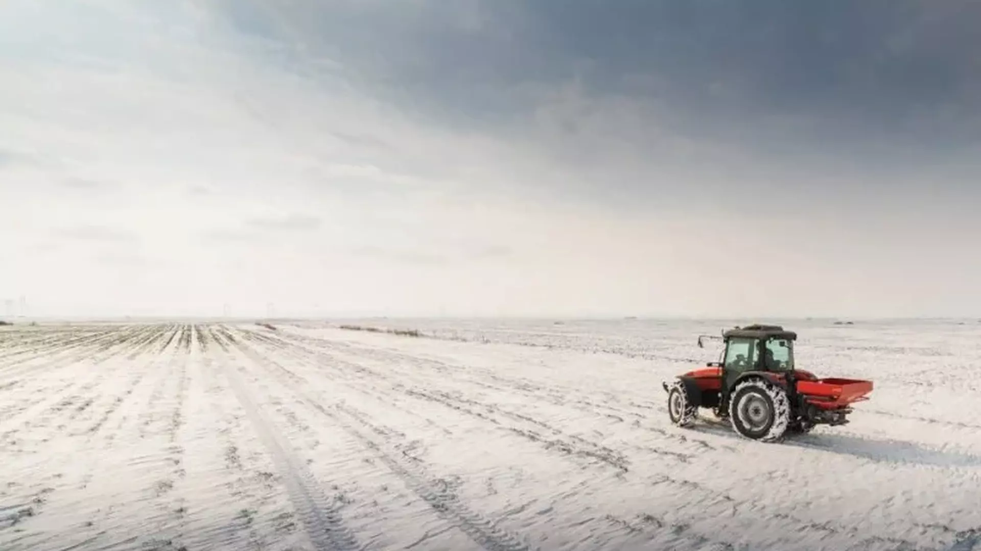 Trator realizando semeadura de culturas de inverno em área agrícola preparada para a safra