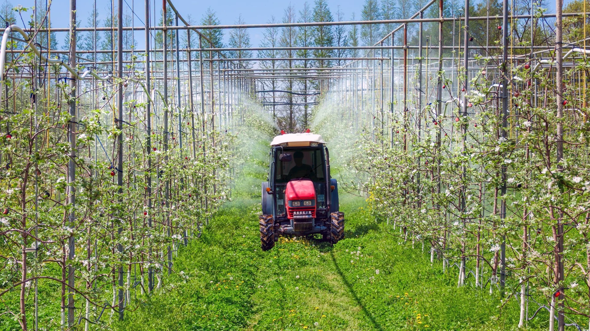 Trator agricola pulverizando defensivos