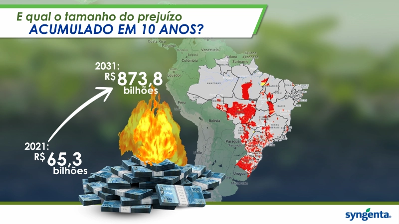 Infográfico com mapa do Brasil destacando áreas afetadas e projeção do prejuízo econômico acumulado por nematoides em 10 anos, saindo de R$ 65,3 bilhões em 2021 para R$ 873,8 bilhões em 2031. 