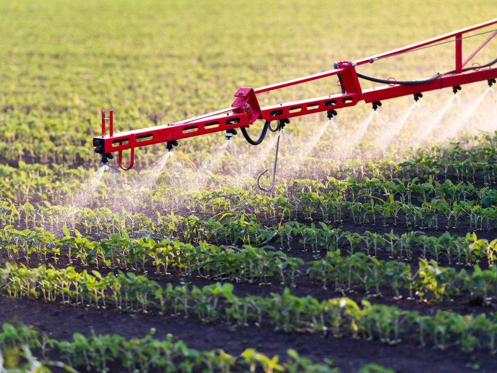 pulverização em solo com varias mudas de plantas 