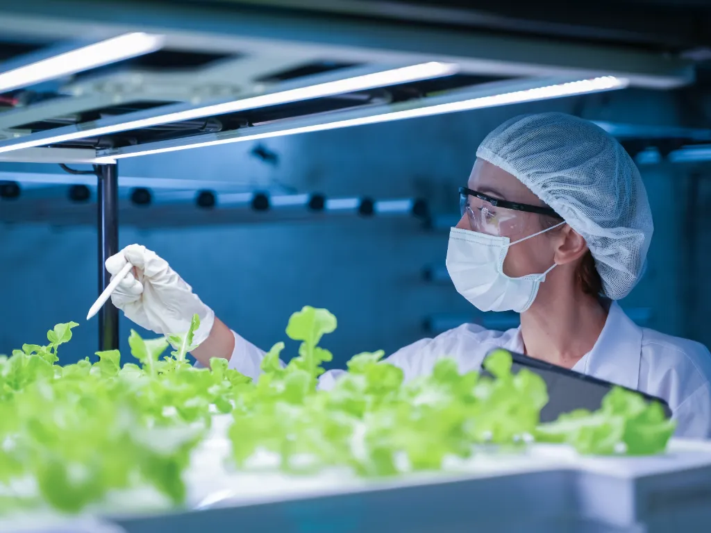 Pesquisador agrícola trabalhando em uma estufa