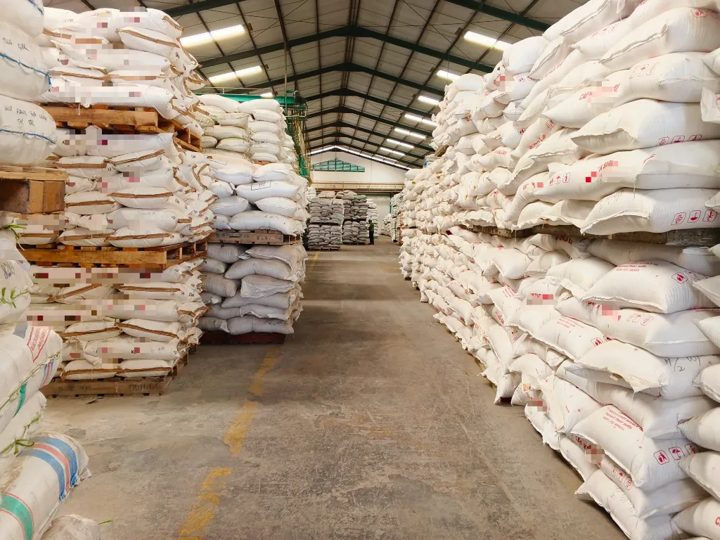 Trabalhadores rurais usam um trator com uma plantadeira para semear