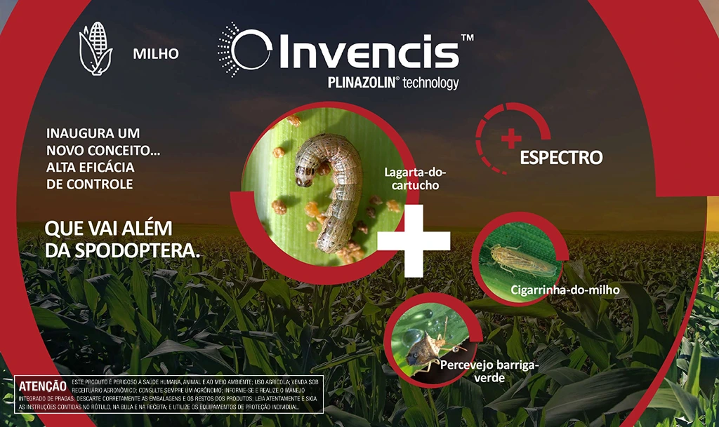 Infográfico das principais pragas do milho, como cigarrinha e percevejo, destacando perdas que podem chegar a 100% devido a danos diretos e indiretos