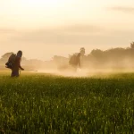 Pessoa pulverizando um campo agrícola