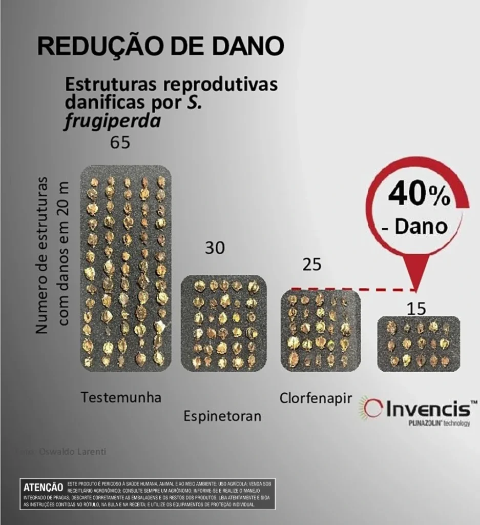 Resultados de INVENCIVIS no algodão.