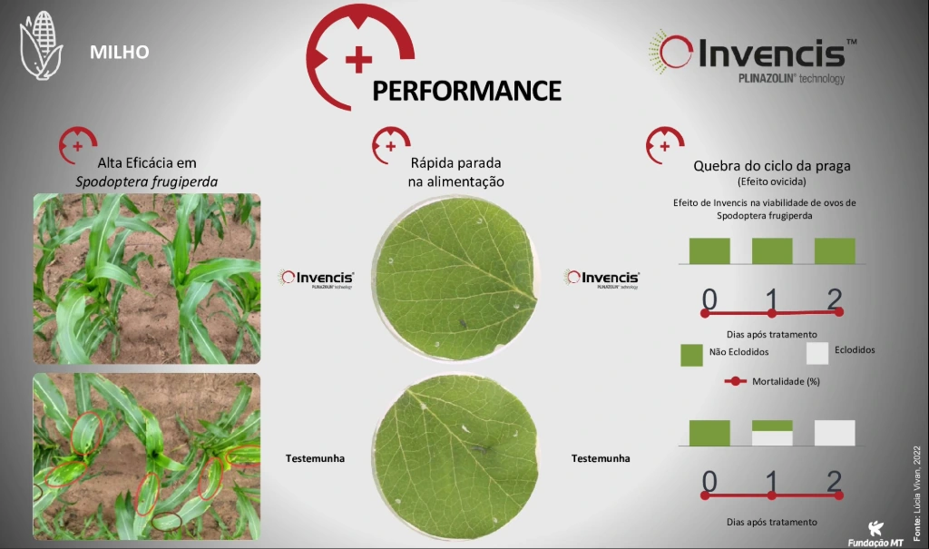 Demonstração da eficácia do Invencis no controle da lagarta-do-cartucho, com rápida parada alimentar e redução na viabilidade de ovos, evidenciando quebra do ciclo da praga