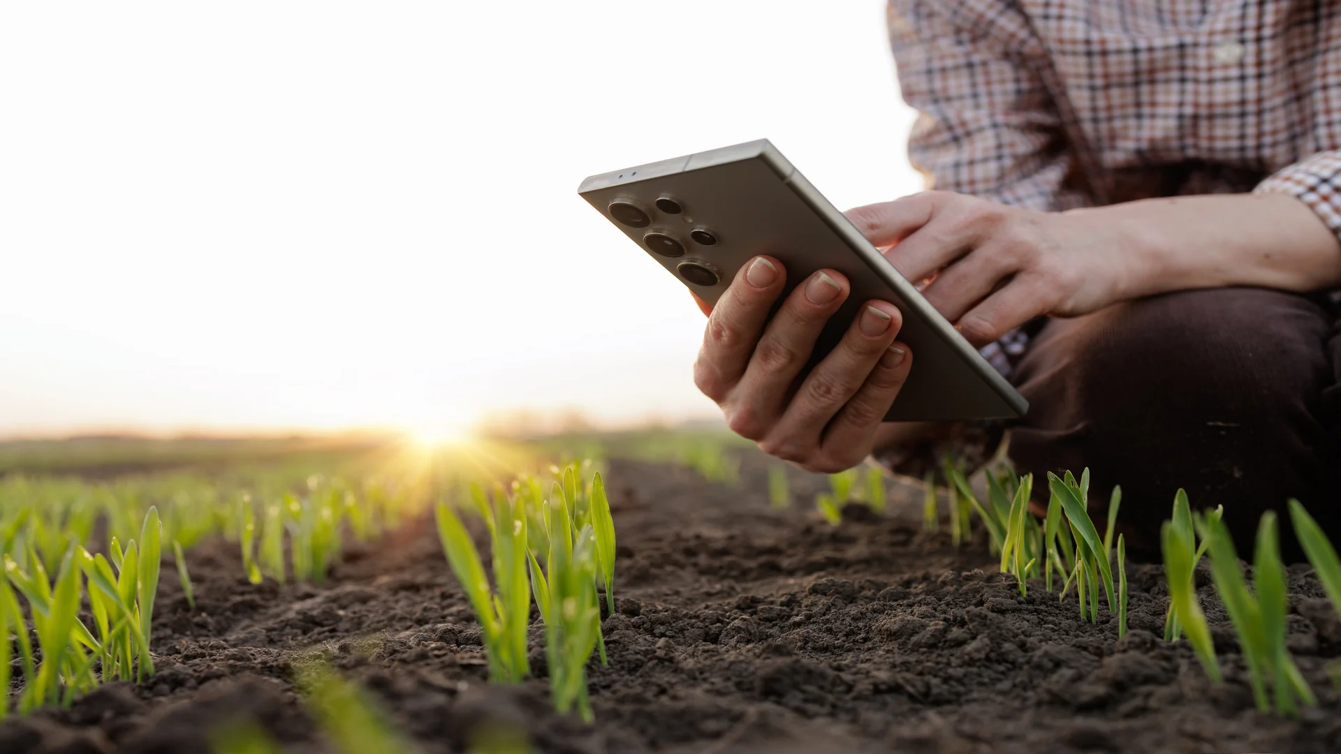 Fazendeiro usa smartphone para monitorar o crescimento da plantação e as condições do solo.