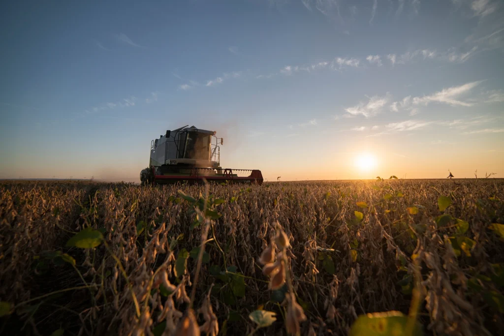 Plantação de soja com uma colheitadeira 