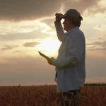 Mãos do agricultor segurando o computador tablet no campo de trigo