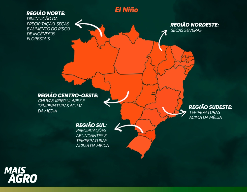 Infográfico do mapa do Brasil evidenciando as possíveis mudanças no clima causada pelo  El Niño nas diferentes regiões do país.