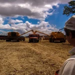 Empregador observando trabalho dos colaborares em máquinas agrícolas.