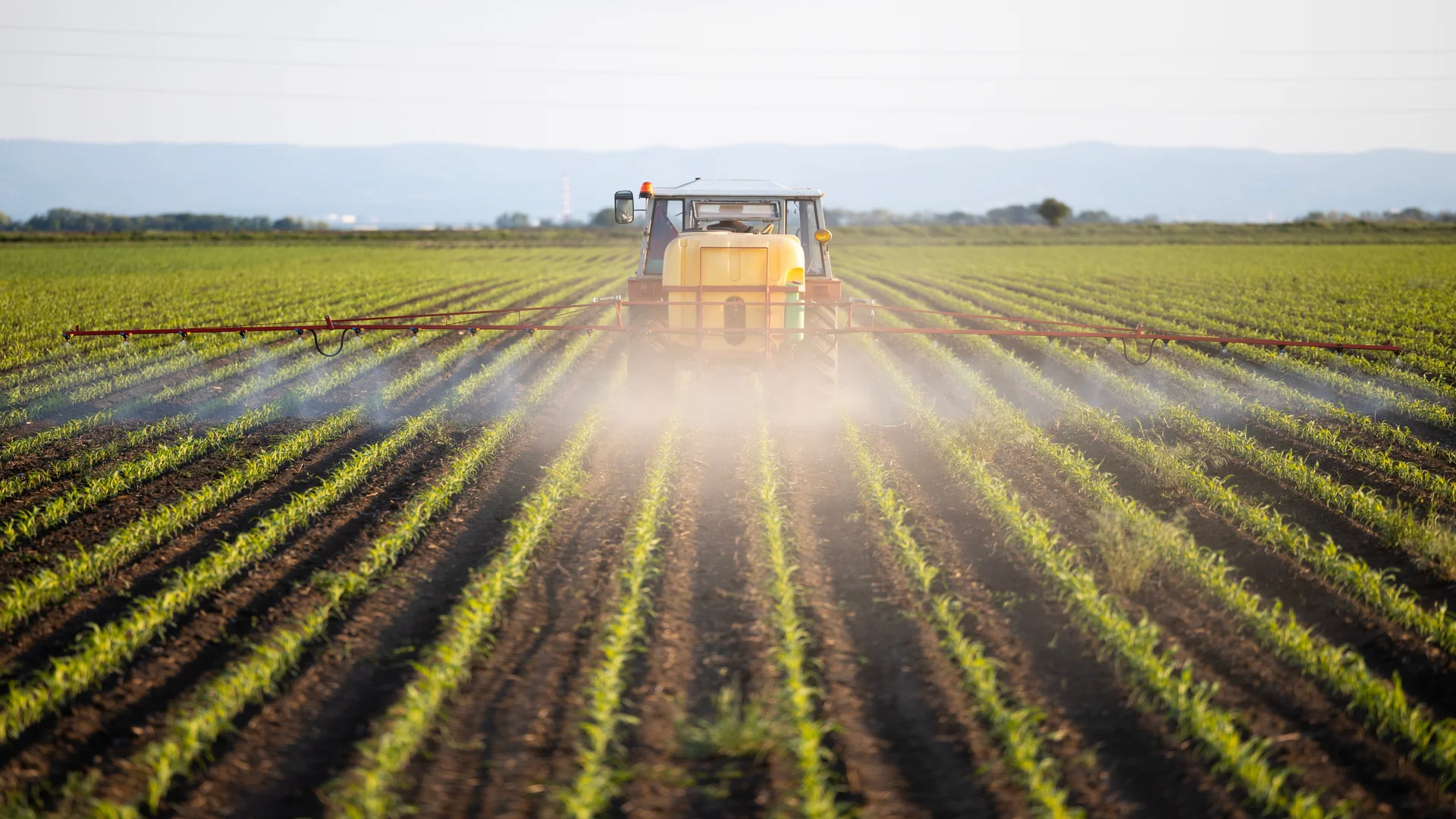 Trator com grande tanque de produtos químicos trabalhando no campo e pulverizando pesticidas no pôr do sol.