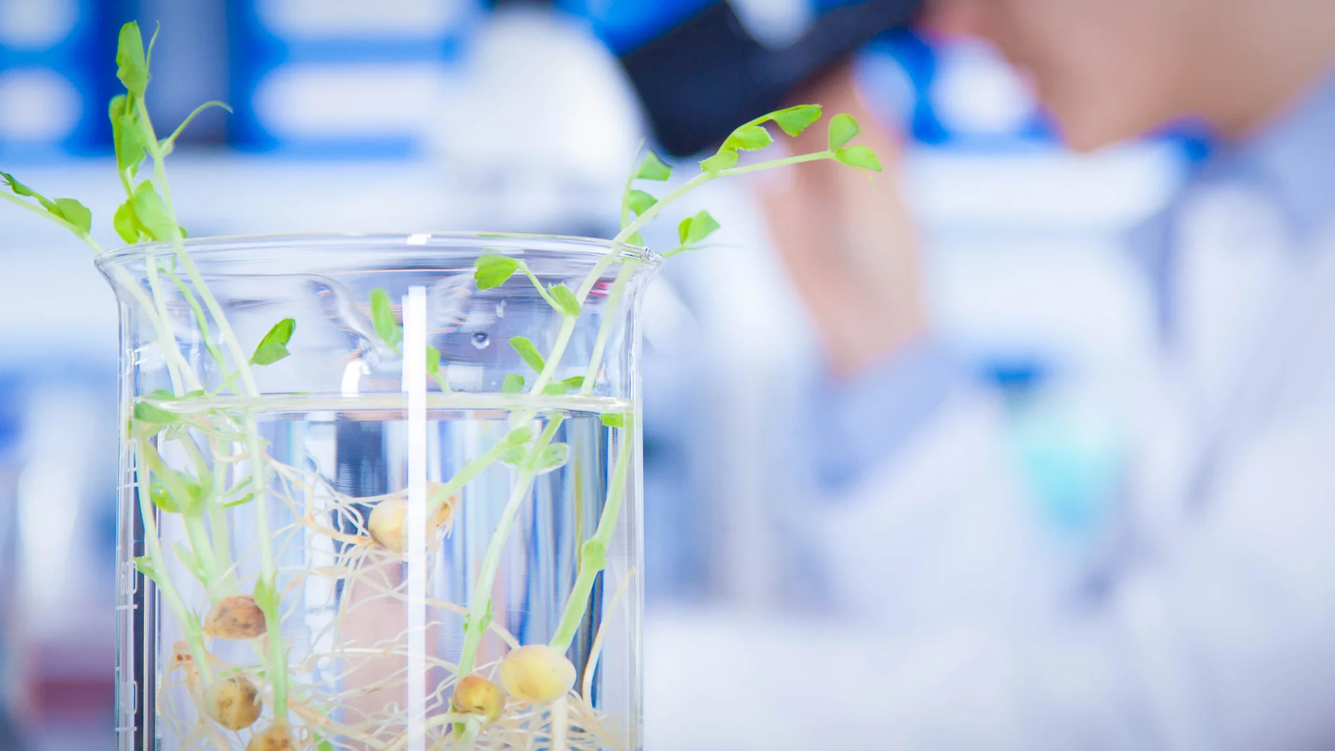 Pessoa em um laboratório fazendo uma analise com foco nas mãos