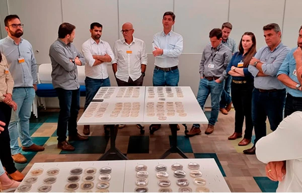 pessoas do time syngenta reunidas para avaliar situação da doença "anomalia da soja", verificada como podridão de vagens e grãos. Pessoas reunidas ao redor de várias amostras de patógenos.