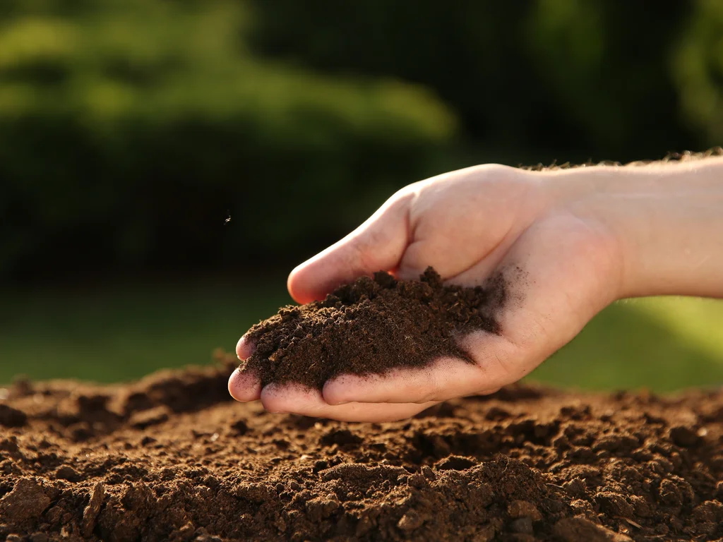 Pessoa com um pouco de terra em mãos em close 