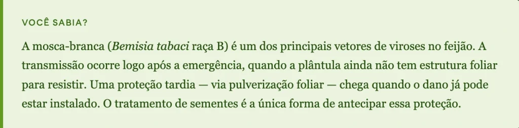 Texto informativo sobre a mosca-branca (Bemisia tabaci) como vetor de viroses no feijão e a importância do tratamento de sementes para proteção precoce das plântulas.