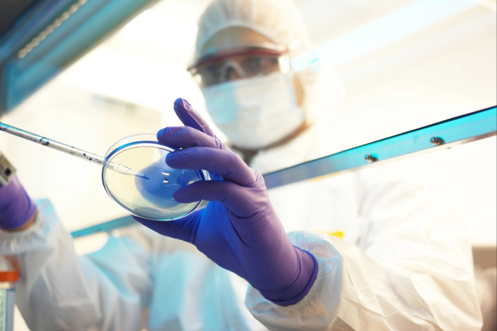 Cientista em laboratório distribuindo amostra líquida sobre uma placa de Petri em uma capela, ilustrando a qualidade do processo de produção de biológicos da Syngenta Biologicals